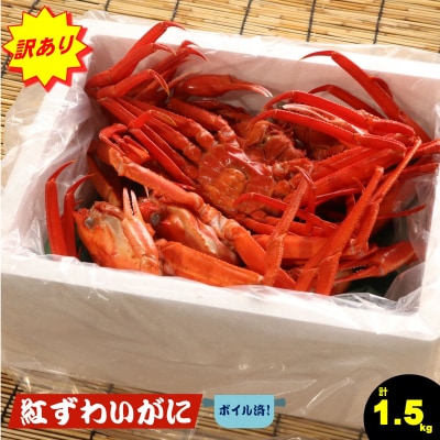 【訳あり】紅ズワイガニセット (約1.5kg) ずわいがに 数量限定 期間限定