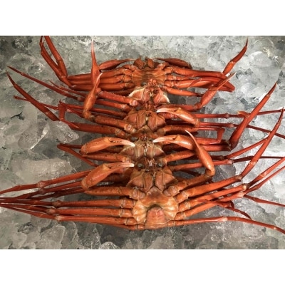 【訳あり】紅ズワイガニセット (約1.5kg) ずわいがに 数量限定 期間限定