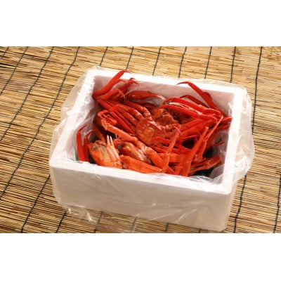 【訳あり】紅ズワイガニセット (約1.5kg) ずわいがに 数量限定 期間限定