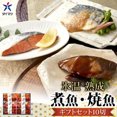 〈山陰大松〉氷温熟成　煮魚・焼魚ギフトセット10切　IN-100