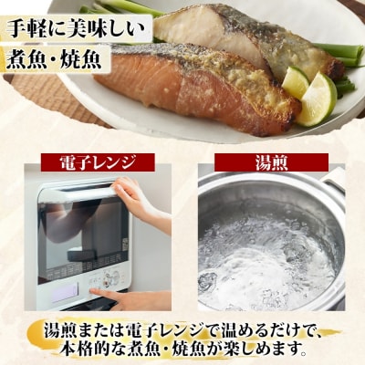〈山陰大松〉氷温熟成　煮魚・焼魚ギフトセット10切　IN-100