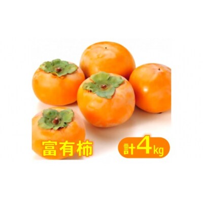 鳥取県産柿「富有柿(ふゆうかき)」4kg