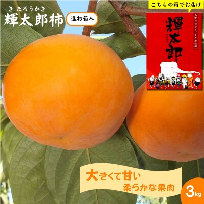 【進物用】輝太郎柿(きたろうかき)3kg 【10月上旬頃から順次発送】