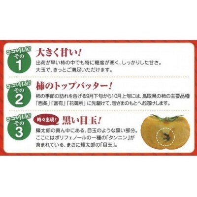 【進物用】輝太郎柿(きたろうかき)3kg 【10月上旬頃から順次発送】