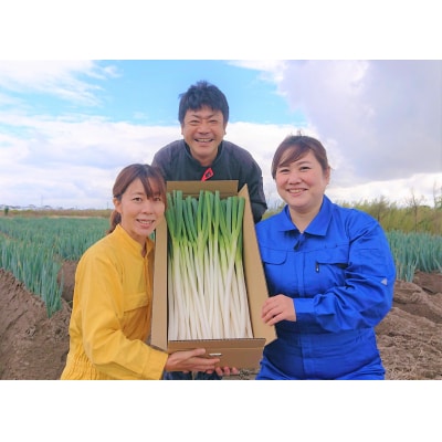 【先行受付】鳥取県産　白ネギの4kgバラ詰め合わせ