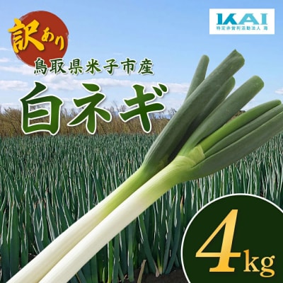 【訳あり】鳥取県産　白ネギの4kgバラ詰め合わせ