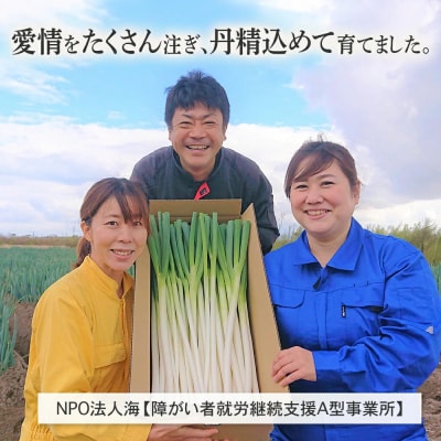 【訳あり】鳥取県産　白ネギの4kgバラ詰め合わせ