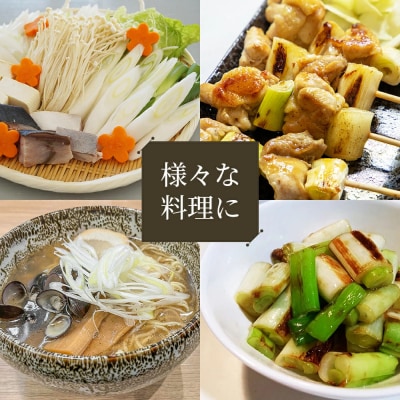 【訳あり】鳥取県産　白ネギの4kgバラ詰め合わせ