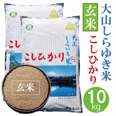 【緊急支援米】こしひかり　10kg (玄米・5kg×2)令和4年度産