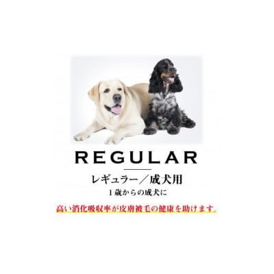 ワンフー wanfoo ウサギ肉使用ドッグフード ラブガド レギュラー 成犬用 3kg