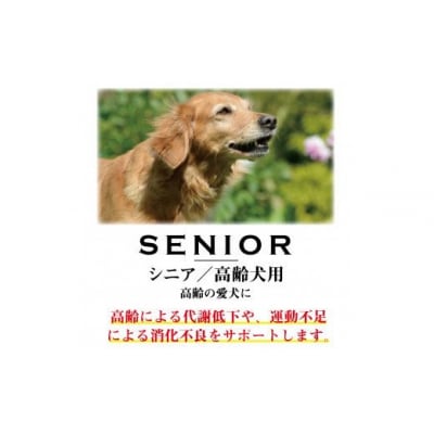 ワンフー wanfoo ウサギ肉使用ドッグフード ラブガド シニア 高齢犬用 3kg