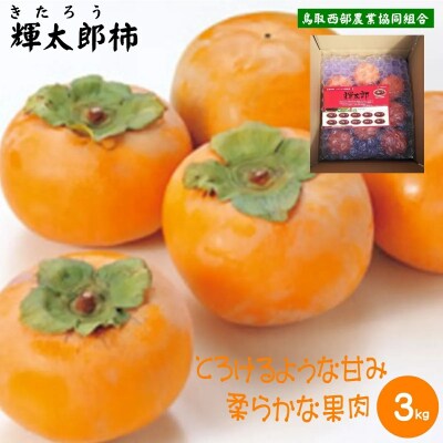 鳥取県産柿「輝太郎柿」きたろうかき　3kg