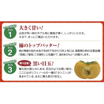 鳥取県産柿「輝太郎柿」きたろうかき　3kg
