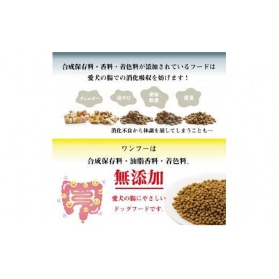 ワンフー wanfoo ウサギ肉使用ドッグフード ラブガド おやつ&栄養補助食セットA