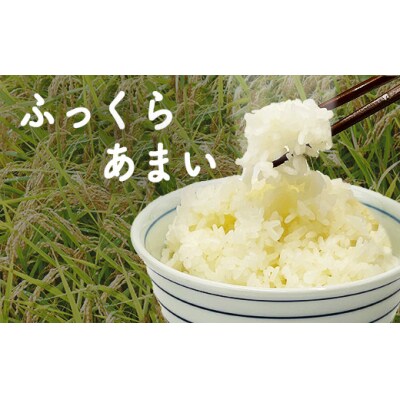 令和7年産　星空舞　10kg(5kg×2袋)