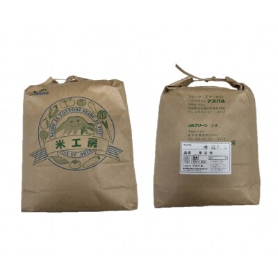 令和7年産　星空舞　10kg(5kg×2袋)