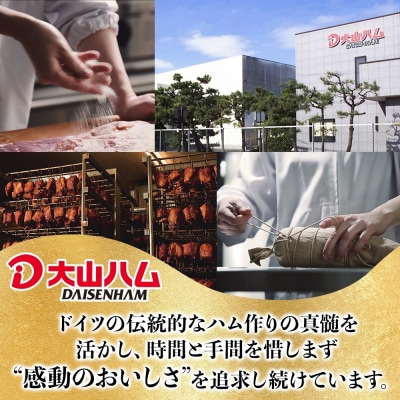 〈大山ハム〉スペシャル感謝セットC(米子市限定)全10品入り