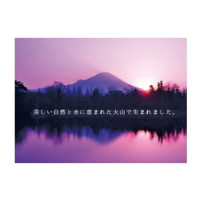 【年内発送可】〈大山ハム〉ハム・ベーコン2品詰め合わせ(OR-24)