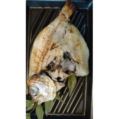 ノドグロ・白イカ入り干物セット(Dセット)