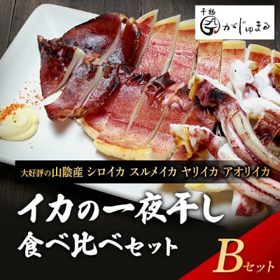 シロイカ入りイカの一夜干し食べくらべセット(Bセット)