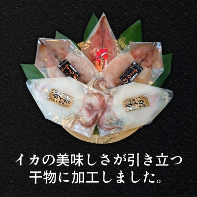 シロイカ入りイカの一夜干し食べくらべセット(Bセット)