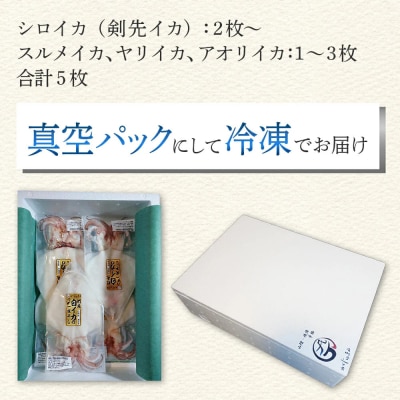 シロイカ入りイカの一夜干し食べくらべセット(Bセット)