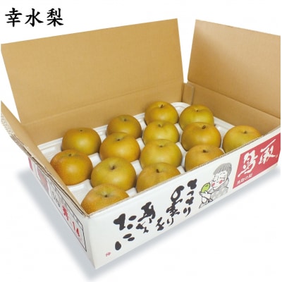 鳥取県産梨「幸水(こうすい)」5kg