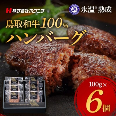 <大山物語>　氷温熟成 鳥取和牛100%手造りハンバーグ 100g×6
