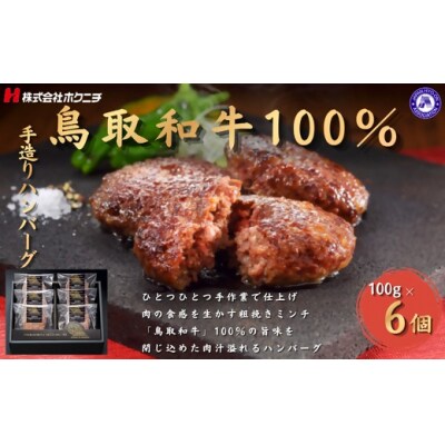<大山物語>　氷温熟成 鳥取和牛100%手造りハンバーグ 100g×6