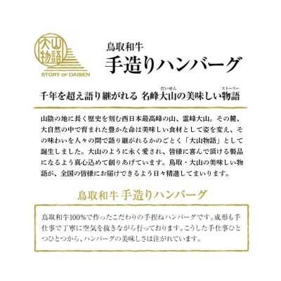 <大山物語>　氷温熟成 鳥取和牛100%手造りハンバーグ 100g×6