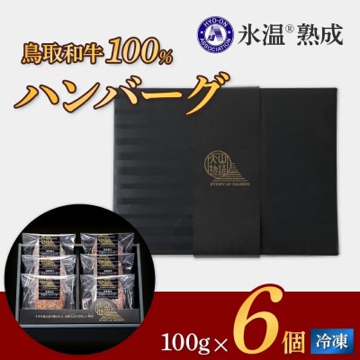 <大山物語>　氷温熟成 鳥取和牛100%手造りハンバーグ 100g×6