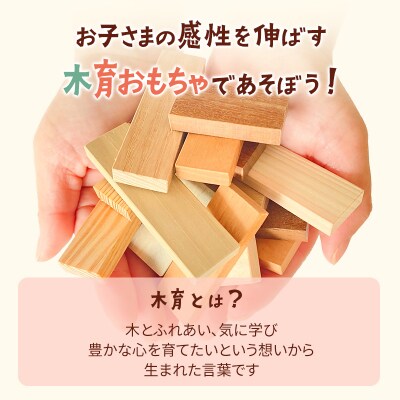 森のドミノさん【専用収納木箱付きドミノピース】