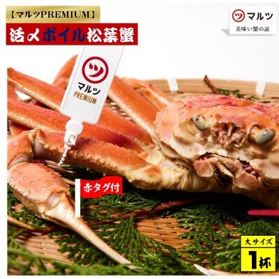 【マルツPREMIUM】活〆ボイル松葉蟹 900g以上×1杯　(2025年1月15日以降発送)