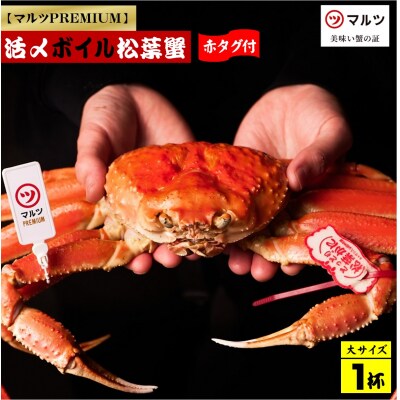 活〆ボイル松葉蟹 900g以上×1杯　【マルツPREMIUM】