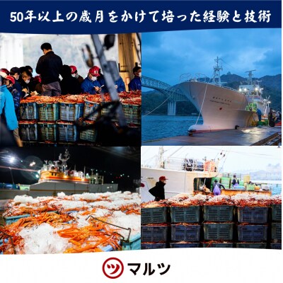 【マルツPREMIUM】活〆ボイル松葉蟹 900g以上×1杯　(2025年1月15日以降発送)