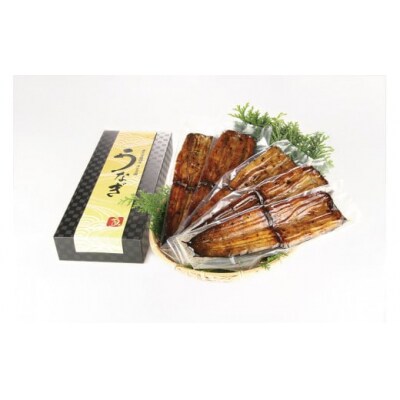 希少!!　日本うなぎかば焼き4本　　ニホンウナギ　ジャポニカ種