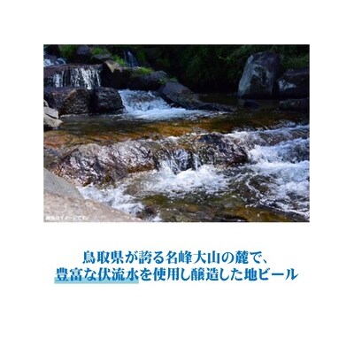 「大山Gビール　飲み比べ10本セット」YG-10