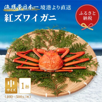 【蟹セレブ】紅ズワイガニ　中1杯(400～500g×1)