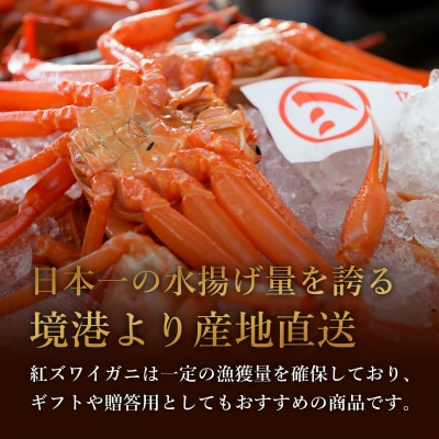 【蟹セレブ】紅ズワイガニ　中1杯(400～500g×1)