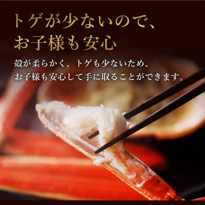 【蟹セレブ】紅ズワイガニ　中1杯(400～500g×1)