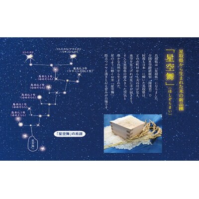 令和7年産　星空舞　5㎏(5㎏×1袋)