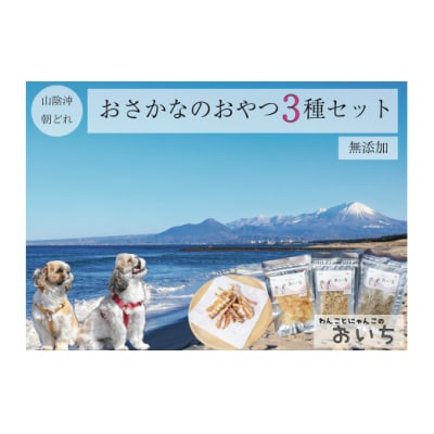 鳥取県米子市!山陰沖朝どれ鮮魚で作るわんことにゃんこのための贅沢3品詰め合わせ!