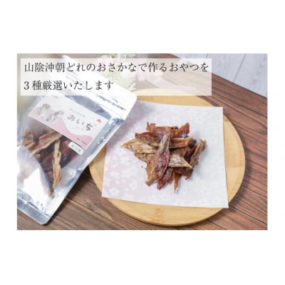 鳥取県米子市!山陰沖朝どれ鮮魚で作るわんことにゃんこのための贅沢3品詰め合わせ!