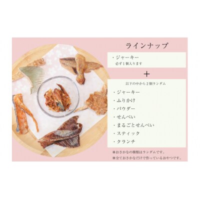 鳥取県米子市!山陰沖朝どれ鮮魚で作るわんことにゃんこのための贅沢3品詰め合わせ!
