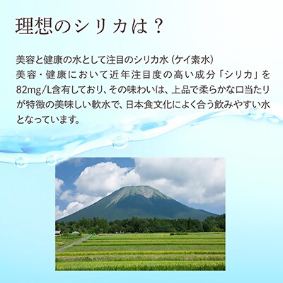 理想のシリカ 500ml × 48本 (1ケース24本入 × 2ケース)