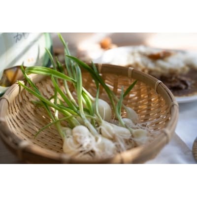 すぷらうとにんにくお試しセット