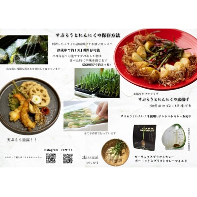 すぷらうとにんにくお試しセット
