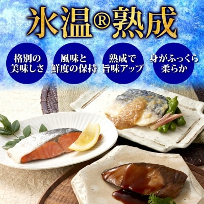 〈山陰大松〉氷温熟成　煮魚・焼魚ギフトセット10切　NYG-10