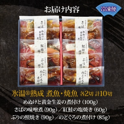 〈山陰大松〉氷温熟成　煮魚・焼魚ギフトセット10切　NYG-10