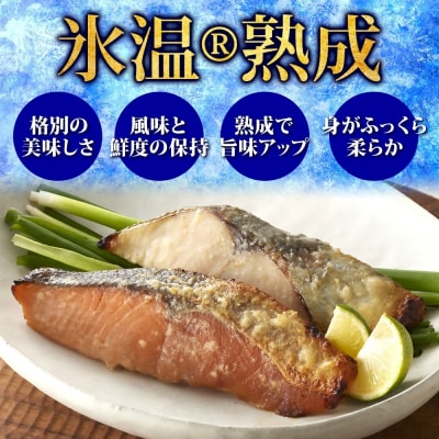 〈山陰大松〉氷温熟成　西京漬けギフトセット10切　SSK-10S